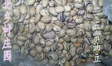 何不改变一点点_750字