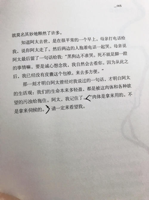 这只是一个愚蠢的观点，心脏从未被扰乱过。 _1200字