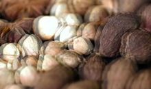 追求何以让梦想花开_800字