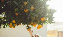 孩子总要长大_1200字