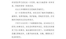 语言≠行动_900字