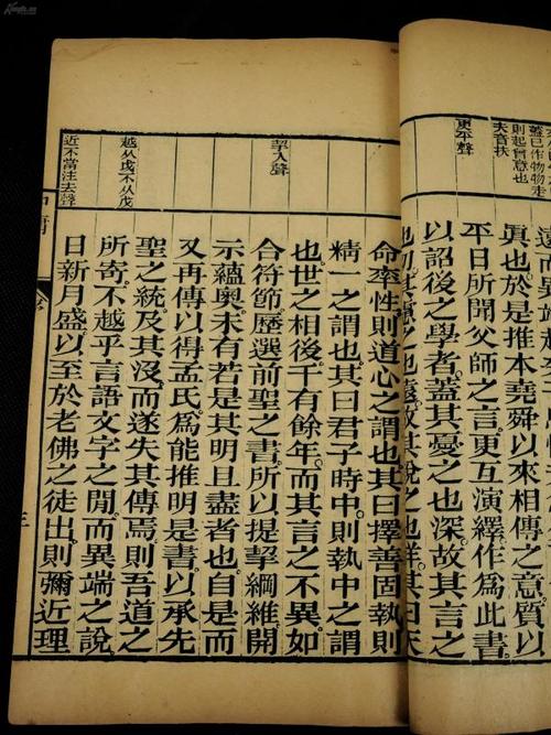 一篇论文“圆顶”在世界上_2000字