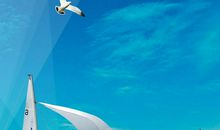 心怀梦想，扬帆起航_1500字