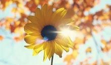 [如约而至]让爱不再等待_1200字