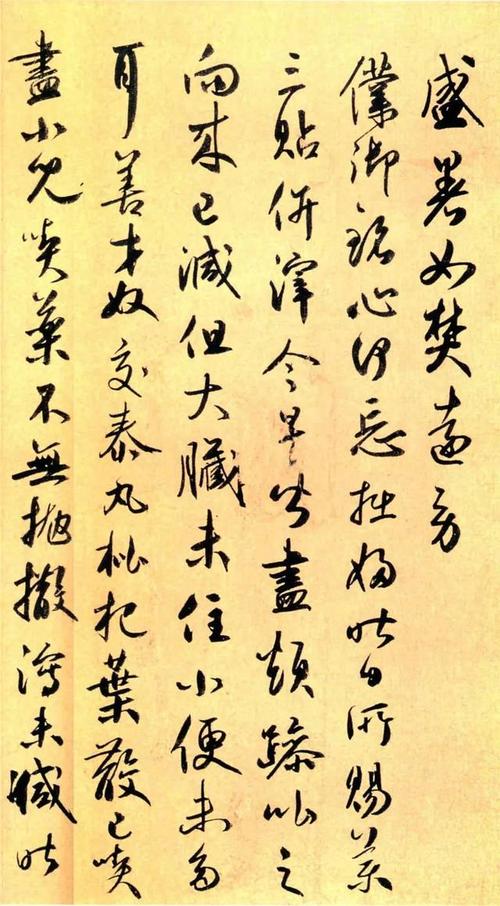 学会使用_1000字