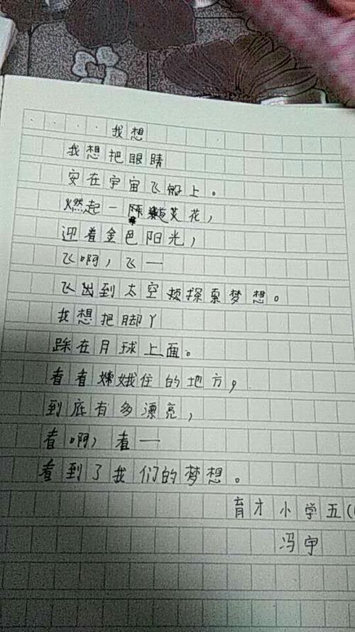 [超级新明星初中小组]我们的梦想尚未设置帆，但也可以去海上_750字