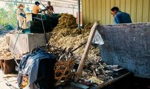 飘香的记忆_700字