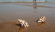 因为与你邂逅_800字