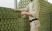 风干的坚守_650字