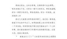 纪念我们逝去的年华_600字