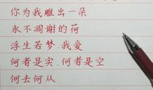 无怨的青春_600字