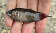 你还记得么？_200字