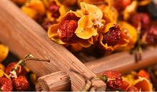 花落苦情树下（一）_800字