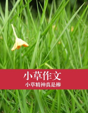 第一个双向组成：学会制作一个强大的小麦幼苗_1200字
