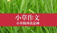 初二状物作文：学做一棵坚强的麦苗_1200字