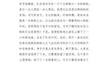 初二状物作文：蚂蚁_700字