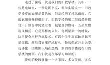 初二状物作文：芦苇的英姿_700字