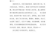 初二状物作文：枫叶_800字