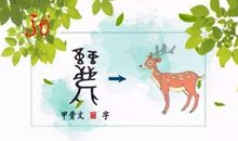 美好的春天_450字