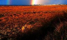 不经历风雨，怎能见彩虹？_700字