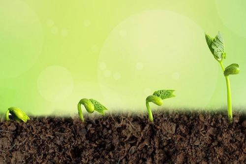 生活在那一刻_800字