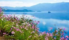 如果可以旅行，你想去哪里？_900字