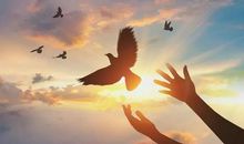 阳光总在风雨后_900字