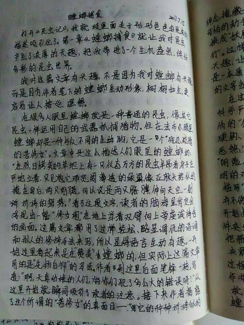 学习累积_600字