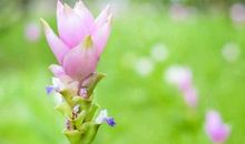 有一种力量让我泪流满面_700字