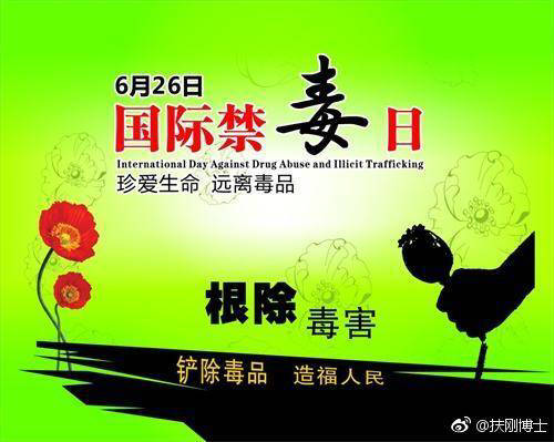 抗拒毒品，珍惜生命_900字