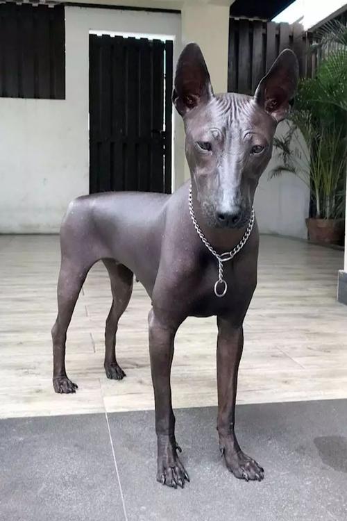 这就是那些总是不希望别人获得福利的人。