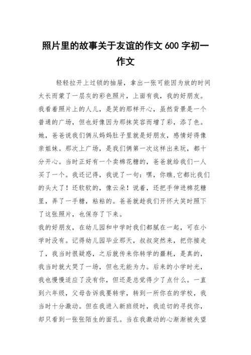 播放材料_600字