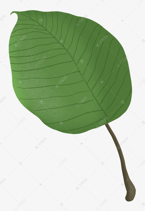 我真的想成为一块叶子_650字