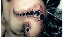 拾起生命的碎片_1200字