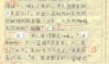 透过文字_700字