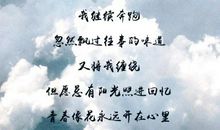 躲在阳光后的青春_1000字