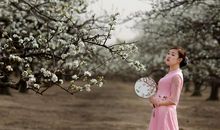 一枕落花香_700字