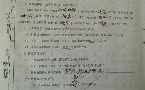 反射生长_800字