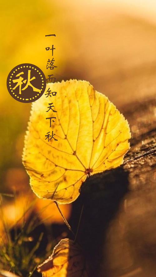 一片叶子和秋天_1200字