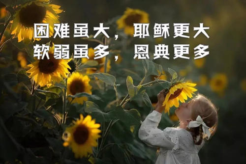 
这就是说，从未知道他们不知道如何抓住责骂的人。