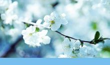 以退为进，自有天空_550字