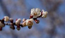 试问闲愁有几许？_1200字