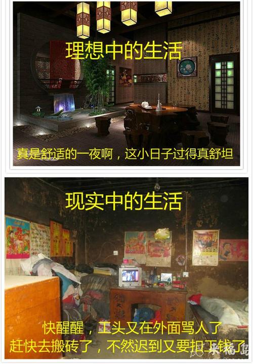 梦想与现实差距_1500字