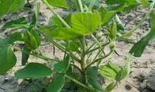 胜与负的转换_1000字