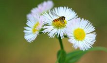 其实美无处不在_800字