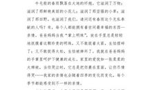 冷漠的有趣_1200字