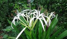 法海无边，回头是岸_700字