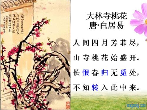 春天绘画_800字