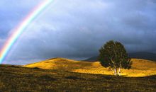 风雨之后的彩虹_700字