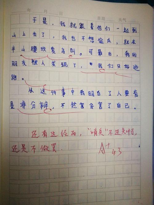 论文_2000字